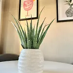 Miarlo Derwent Haven Lakeland Дом отдыха